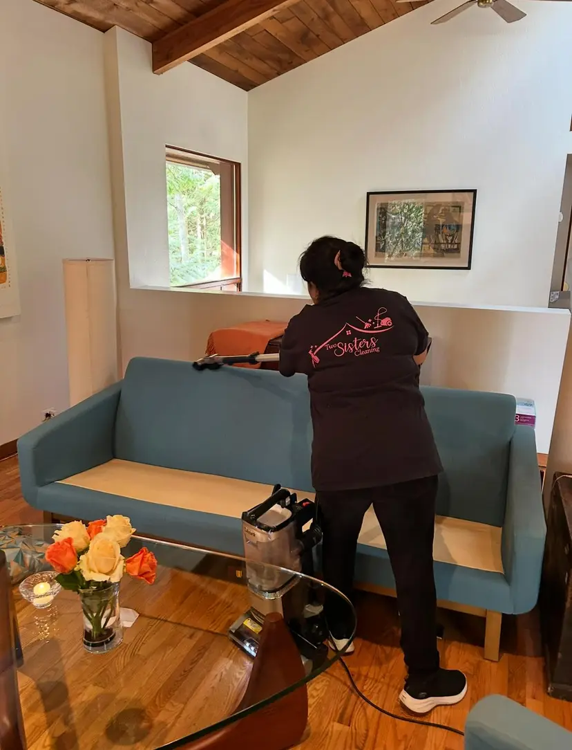 Upholstery steam clean